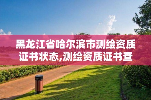 黑龙江省哈尔滨市测绘资质证书状态,测绘资质证书查询。