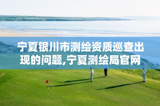 宁夏银川市测绘资质巡查出现的问题,宁夏测绘局官网。