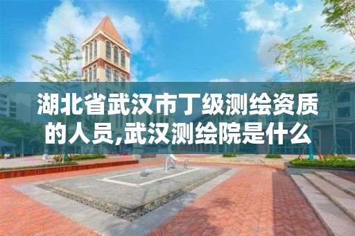 湖北省武汉市丁级测绘资质的人员,武汉测绘院是什么级别