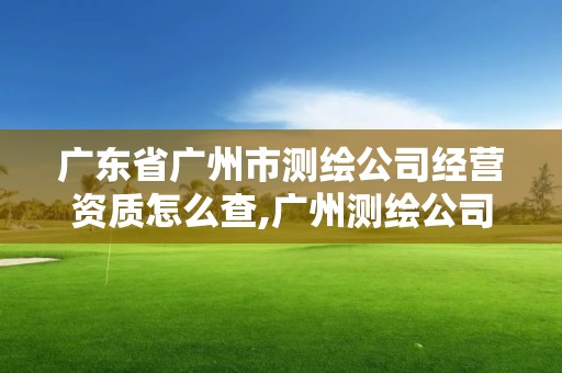 广东省广州市测绘公司经营资质怎么查,广州测绘公司有哪些。