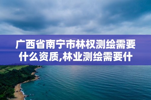 广西省南宁市林权测绘需要什么资质,林业测绘需要什么资质。