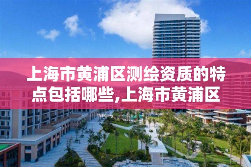 上海市黄浦区测绘资质的特点包括哪些,上海市黄浦区测绘中心