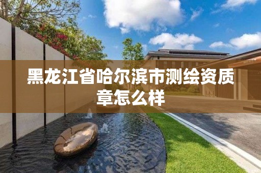 黑龙江省哈尔滨市测绘资质章怎么样