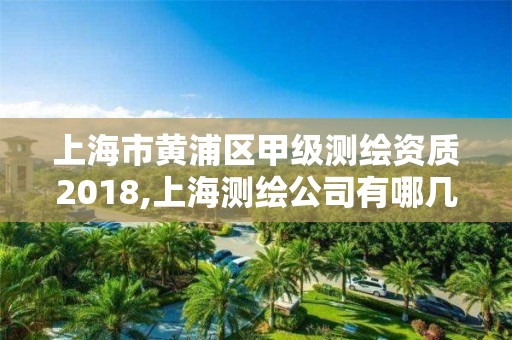 上海市黄浦区甲级测绘资质2018,上海测绘公司有哪几家