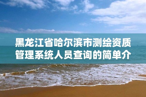 黑龙江省哈尔滨市测绘资质管理系统人员查询的简单介绍