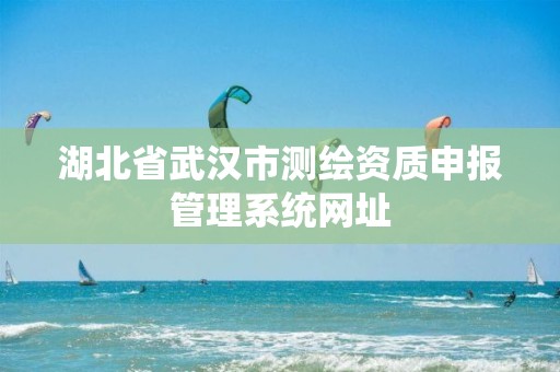 湖北省武汉市测绘资质申报管理系统网址