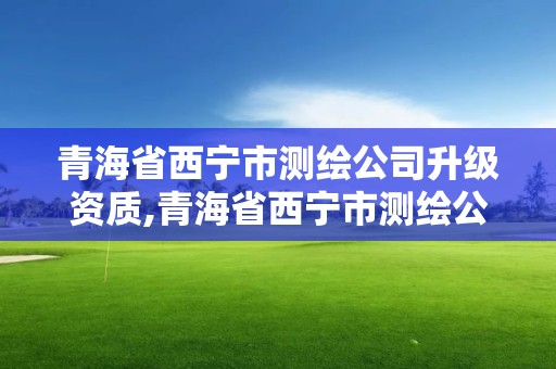 青海省西宁市测绘公司升级资质,青海省西宁市测绘公司升级资质查询