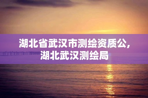 湖北省武汉市测绘资质公,湖北武汉测绘局