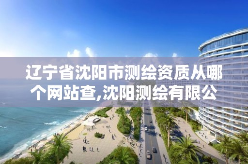 辽宁省沈阳市测绘资质从哪个网站查,沈阳测绘有限公司。