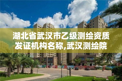 湖北省武汉市乙级测绘资质发证机构名称,武汉测绘院是什么级别