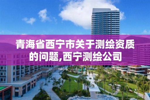 青海省西宁市关于测绘资质的问题,西宁测绘公司