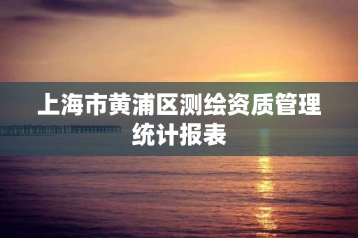 上海市黄浦区测绘资质管理统计报表