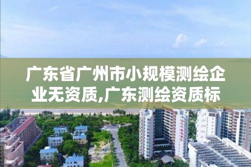 广东省广州市小规模测绘企业无资质,广东测绘资质标准