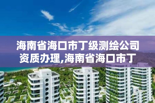 海南省海口市丁级测绘公司资质办理,海南省海口市丁级测绘公司资质办理电话