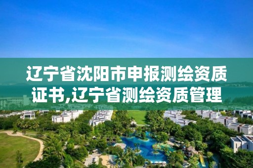 辽宁省沈阳市申报测绘资质证书,辽宁省测绘资质管理信息系统