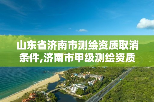 山东省济南市测绘资质取消条件,济南市甲级测绘资质单位