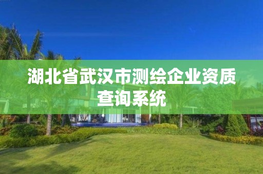 湖北省武汉市测绘企业资质查询系统