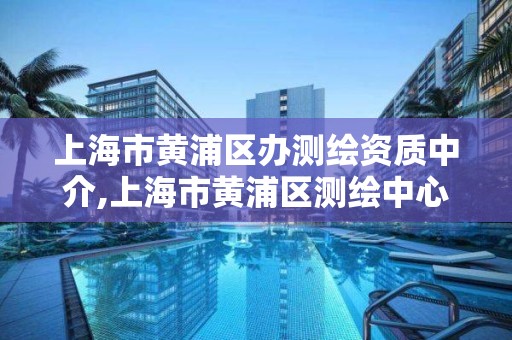 上海市黄浦区办测绘资质中介,上海市黄浦区测绘中心