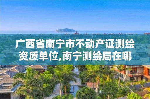 广西省南宁市不动产证测绘资质单位,南宁测绘局在哪。