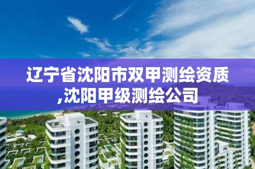 辽宁省沈阳市双甲测绘资质,沈阳甲级测绘公司