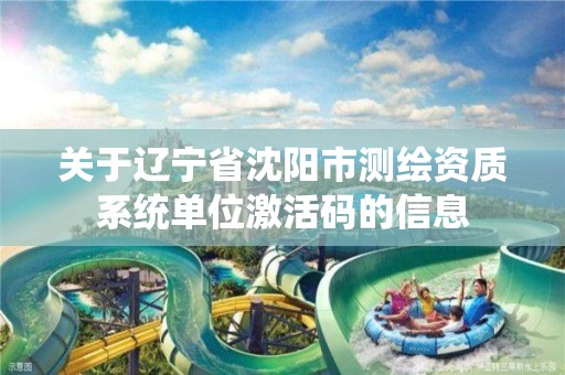 关于辽宁省沈阳市测绘资质系统单位激活码的信息