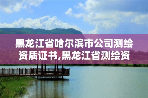 黑龙江省哈尔滨市公司测绘资质证书,黑龙江省测绘资质延期通知