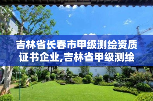 吉林省长春市甲级测绘资质证书企业,吉林省甲级测绘资质单位。