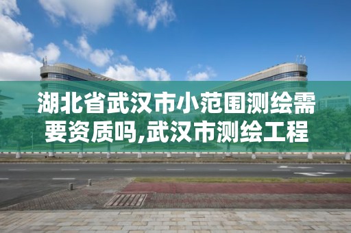 湖北省武汉市小范围测绘需要资质吗,武汉市测绘工程技术规定