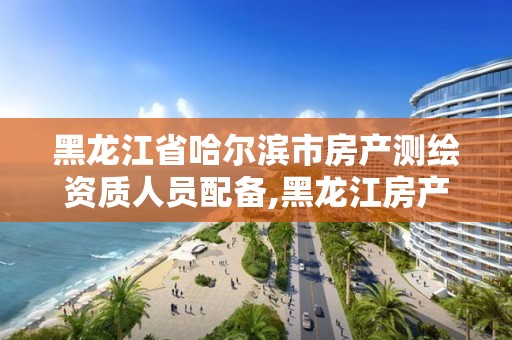 黑龙江省哈尔滨市房产测绘资质人员配备,黑龙江房产测绘收费标准依据