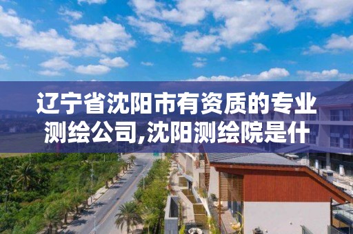 辽宁省沈阳市有资质的专业测绘公司,沈阳测绘院是什么单位