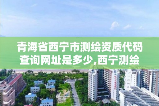 青海省西宁市测绘资质代码查询网址是多少,西宁测绘公司。