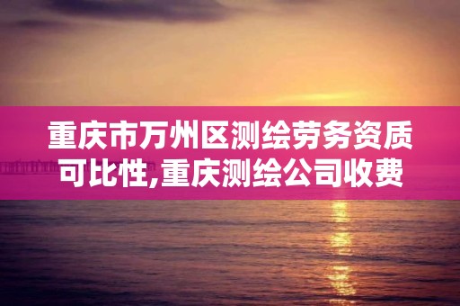 重庆市万州区测绘劳务资质可比性,重庆测绘公司收费标准