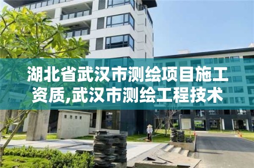 湖北省武汉市测绘项目施工资质,武汉市测绘工程技术规定