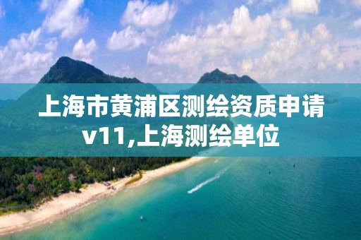 上海市黄浦区测绘资质申请v11,上海测绘单位