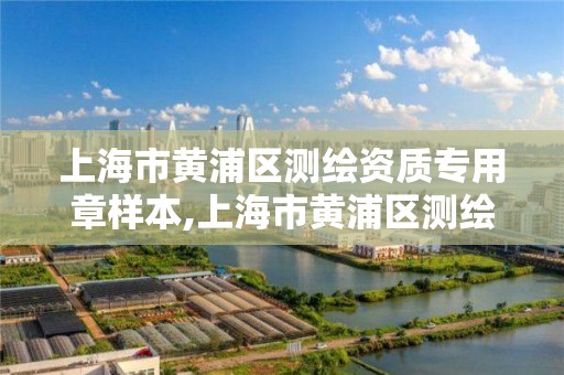 上海市黄浦区测绘资质专用章样本,上海市黄浦区测绘资质专用章样本查询