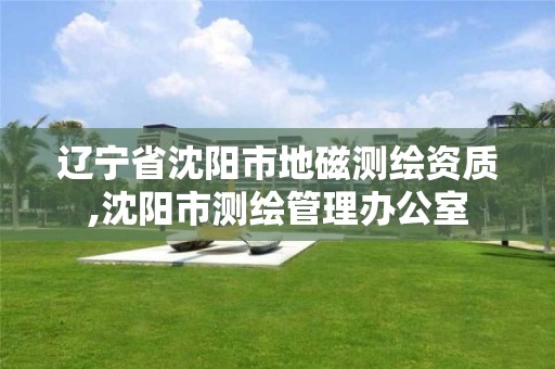 辽宁省沈阳市地磁测绘资质,沈阳市测绘管理办公室