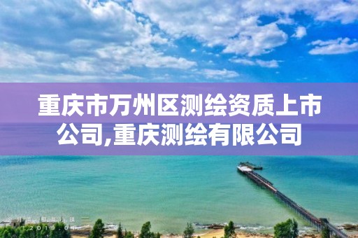 重庆市万州区测绘资质上市公司,重庆测绘有限公司