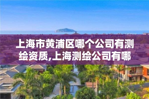 上海市黄浦区哪个公司有测绘资质,上海测绘公司有哪几家