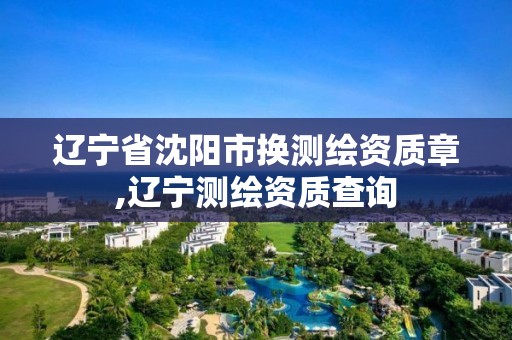 辽宁省沈阳市换测绘资质章,辽宁测绘资质查询