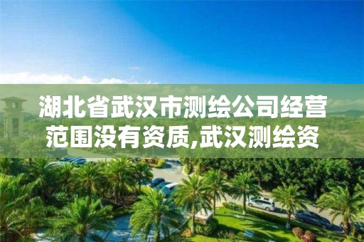 湖北省武汉市测绘公司经营范围没有资质,武汉测绘资质代办。