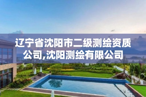 辽宁省沈阳市二级测绘资质公司,沈阳测绘有限公司