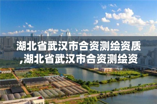 湖北省武汉市合资测绘资质,湖北省武汉市合资测绘资质企业名单