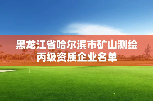 黑龙江省哈尔滨市矿山测绘丙级资质企业名单