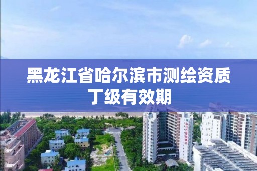 黑龙江省哈尔滨市测绘资质丁级有效期