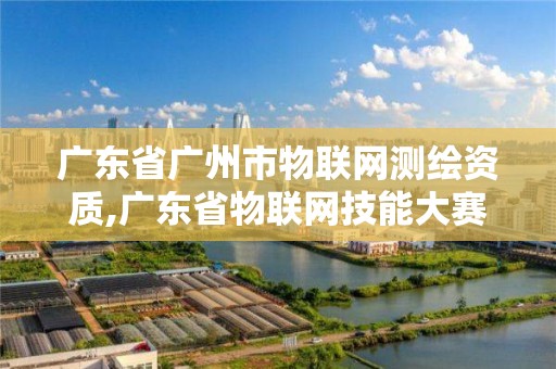 广东省广州市物联网测绘资质,广东省物联网技能大赛