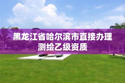 黑龙江省哈尔滨市直接办理测绘乙级资质