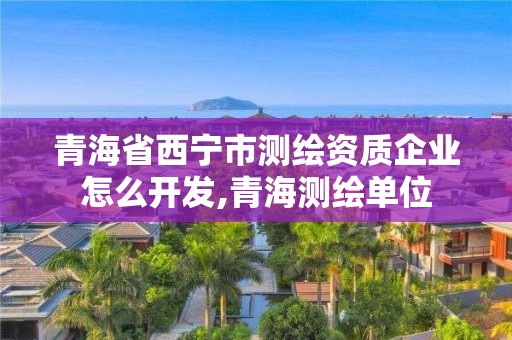 青海省西宁市测绘资质企业怎么开发,青海测绘单位