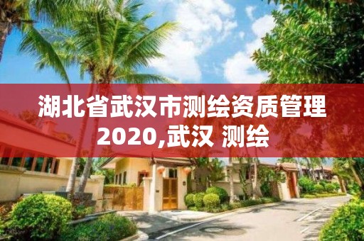 湖北省武汉市测绘资质管理2020,武汉 测绘