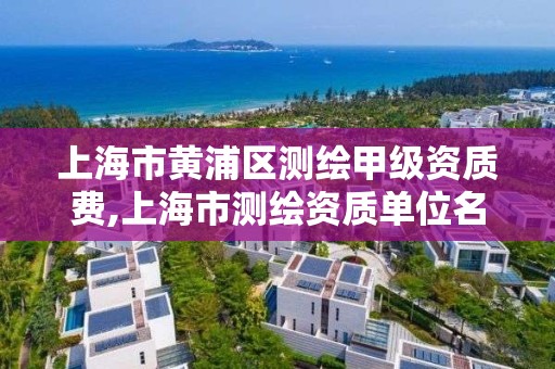 上海市黄浦区测绘甲级资质费,上海市测绘资质单位名单