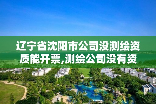 辽宁省沈阳市公司没测绘资质能开票,测绘公司没有资质可以开发票吗